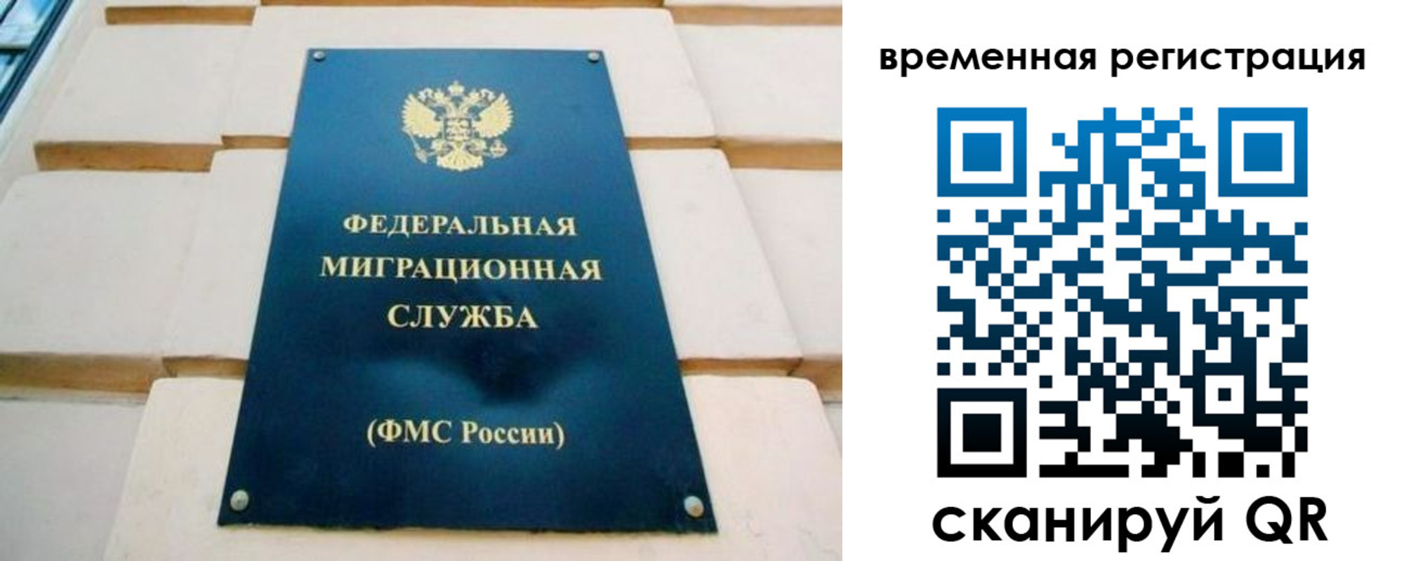 прописка гарантия в Мурманской области